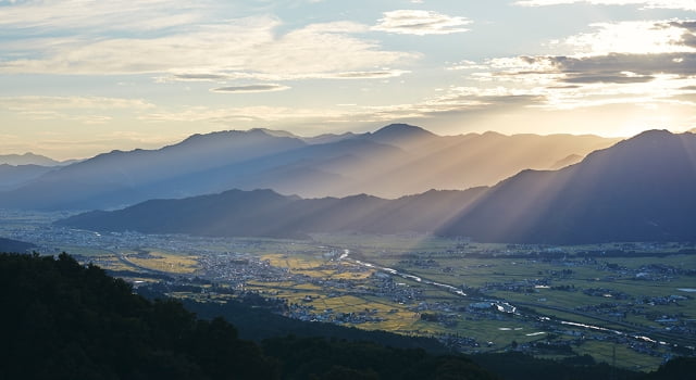 関農園について