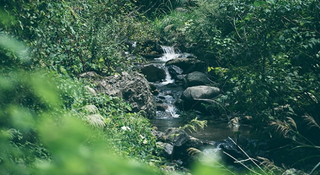 おいしさの理由