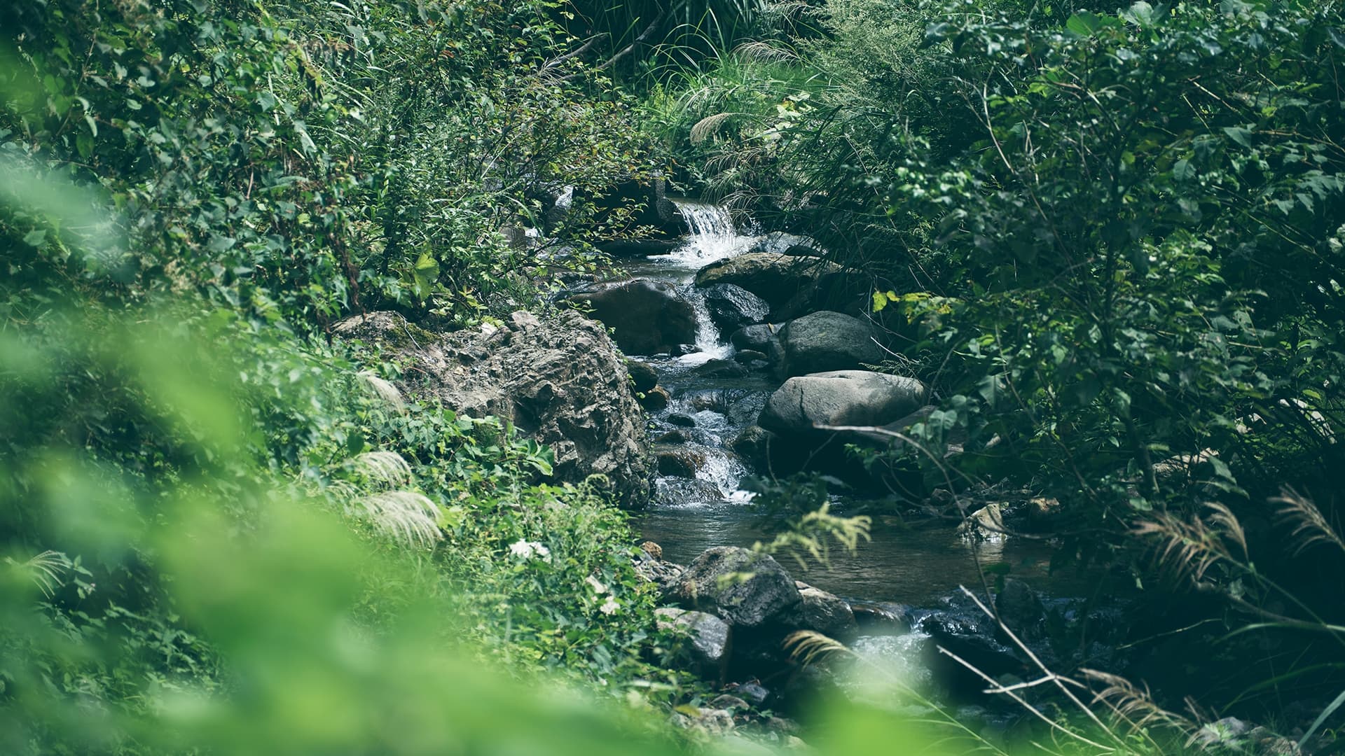 おいしさの理由
